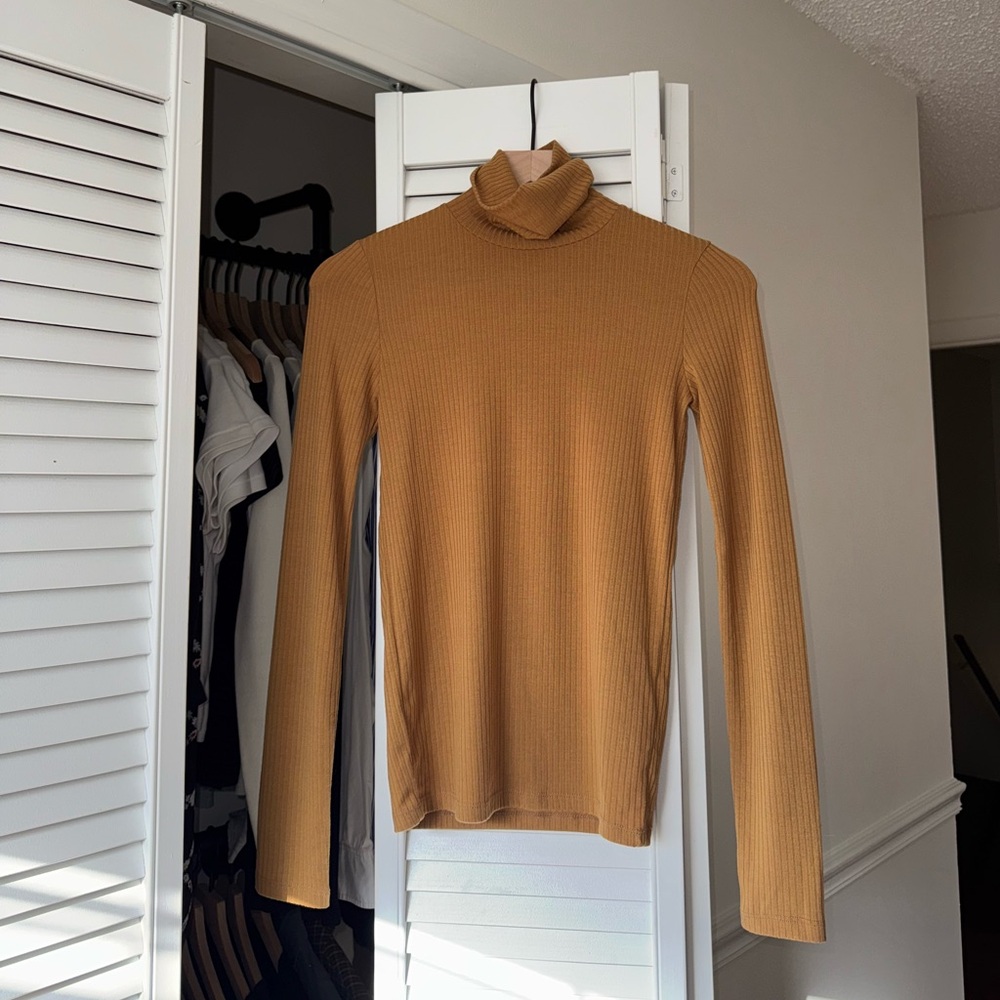 Madewell ‘Ribbed Turtleneck Top’ in Toffee